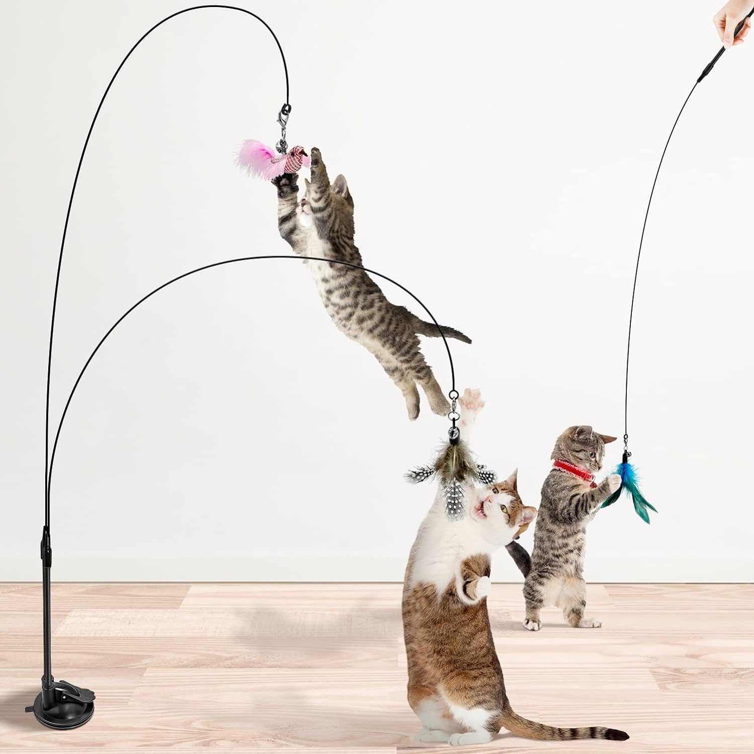 Madgern Cat Toys Wands 6 Pack Interactive Cat Toys for Indoor Cat Toys for  Boredom and Stimulating Natural Bird Feather Indoor Dancing Playing Toy -  Yahoo Shopping